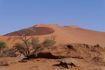 Fototapeta na wymiar Namibia, Wüste