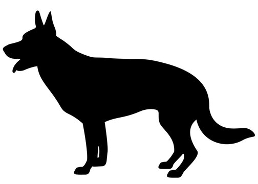 Big shepherd dog. Vector image.