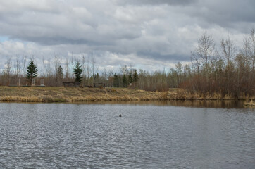 Pylypow on a Cloudy Spring Day