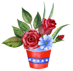 Watercolor illustration