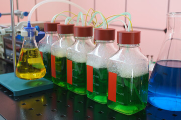 Experiments with obtaining electricity and bacteria processing industrial waste. Ecological...