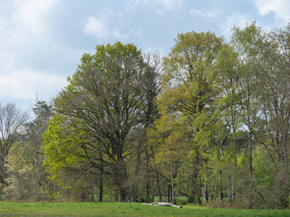 Die Dingdener Heide am Niederrhein