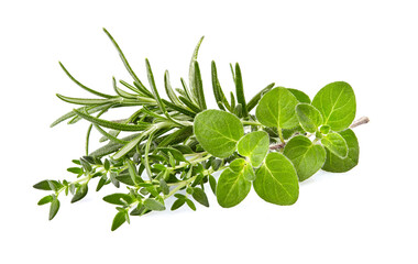 Oregano leaves, rosemary and thyme isolated on white background. Mixture of herbs. Herbs fresh  closeup. - obrazy, fototapety, plakaty