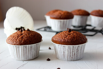 Chocolate muffins in paper forms on a gray background