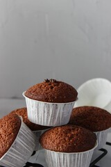 Chocolate muffins in paper forms on a gray background