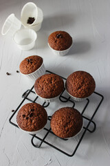 Chocolate muffins in paper forms on a gray background