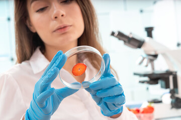 Quality inspection of agricultural food products. Checking the content of nitrates and herbicides...