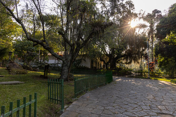 Brilho do Sol entre as árvores no jardim do parque do Carmo em São Paulo 
