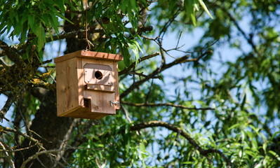 Pequeña caseta de madera para aves y pájaros colgada de la rama de un árbol