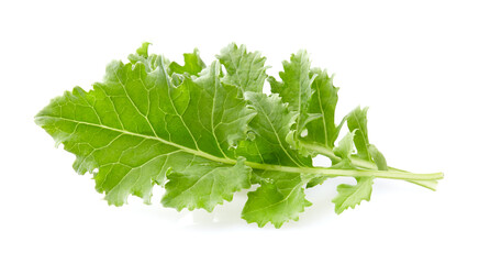 Kale leaves salad on white background