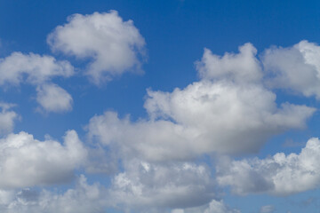 Naklejka na ściany i meble blue sky with white clouds