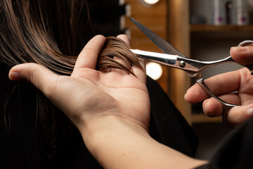 The hairdresser cuts women's hair in the barbershop. Service, care, style, scissors, tool, haircut, work, master