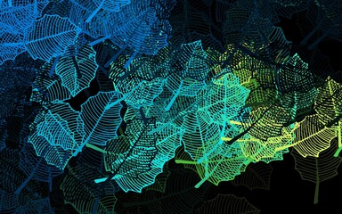 Dark Blue, Green vector natural backdrop with leaves.