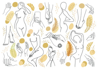 Collection. Silhouettes of the figure of a girl and a leaf of a plant in a modern one-line style. Solid line, aesthetic outline for home decor, posters, stickers, logo. Vector illustration set.