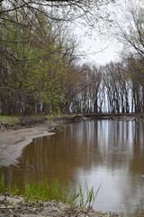 Natural reserve of Yamachiche peninsula