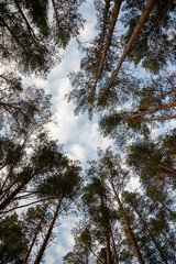 Even one bright star of sun can bring warm thoughts in cold mind