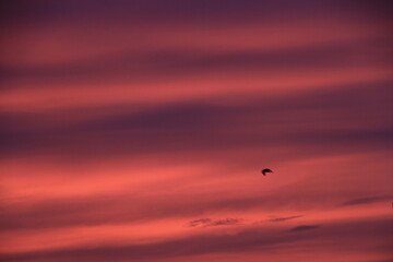 colorful clouds at sunset 
