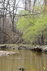 Natural reserve of Yamachiche peninsula
