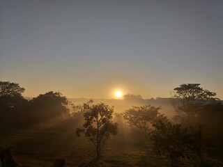 Comecei o dia contemplando esse nascer do sol em uma manhã de outono.