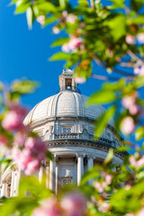 Kentucky State Capitol Dome Surrounded by Blooming Dogwood Trees - Beaux-Arts Architecture - Frankfort, Kentucky - 432008271