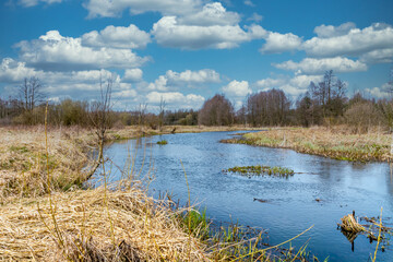 Fishing on the small river Grabia in the center of Poland. 