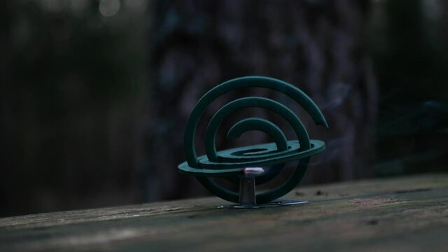 Burning of the mosquito coil in nature. Mosquito-repelling incense