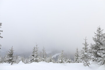Beautiful winter landscape with snow covered trees in Czech Republic
