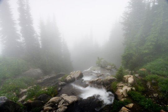 Edith Creek, Paradise Park, Cascade Range, Mount Rainier National Park