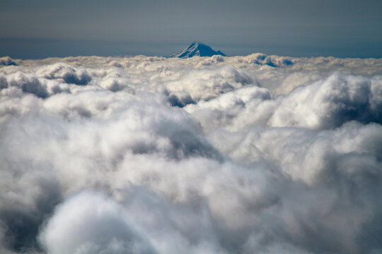 Mt. Hood seen from Mt. St. Helens