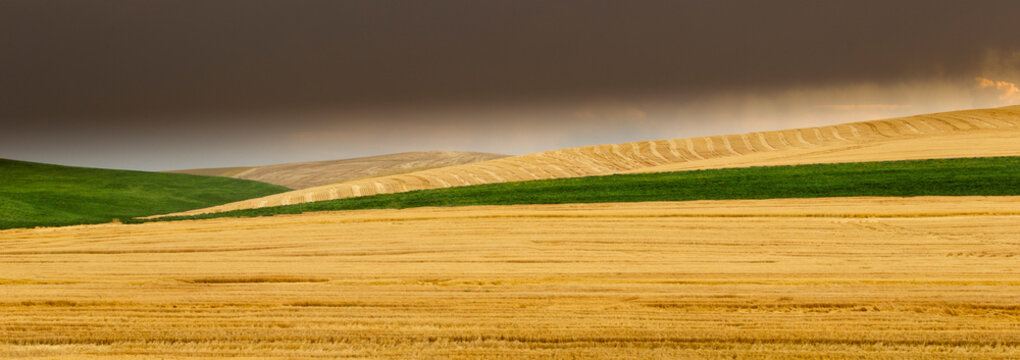 A summer thunderstorm approaches at sunset in the Palouse Region of Washington State near Colfax.