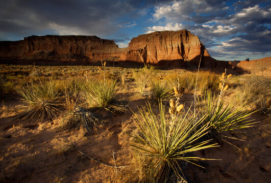 Scenic image of canyon and buttes at Lake Powell, UT.