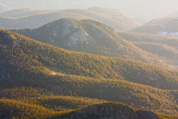 Rolling forested hills backlit at sunrise along the Front Range in Rocky Mountain National Park, Colorado.