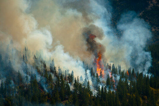 Firefighters in Washington state, USA prescribed burns in the Preston/Fox area of the Entiat Valley.