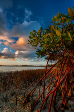 Little Exuma, Bahamas