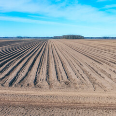 flat new spring furrows for planting vegetable crops against a blue sky