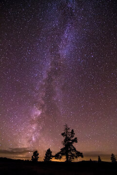 The Milky Way Galaxy extends out from a small cluster of trees in the Bighorn Mountains of Wyoming.