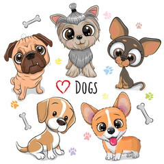 Cute Cartoon Dogs isolated on a white background