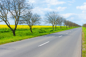 A road of asphalt through the fields. Agricultural fields along the road. Beautiful landscape view along the way.
