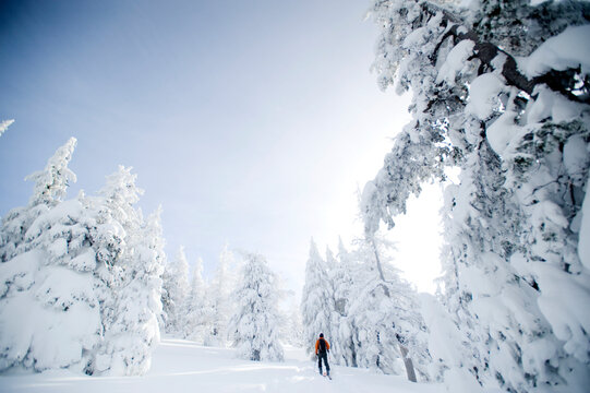 A young man, Max Tepfer, enjoying backcountry skiing on Mt. Tumalo, Oregon Cascades.
