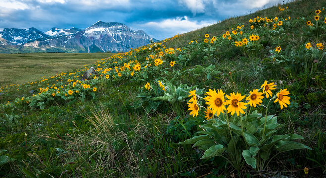 Rocky Mountain Front in Alberta, Canada.