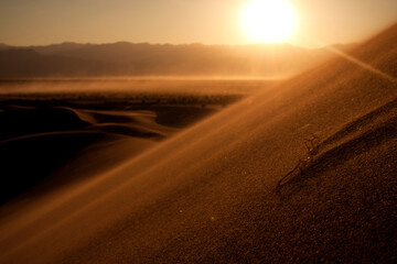 A lone stick atop the second highest sand dune of the Mesquite Sand Dunes of Death Valley, on June 2011.