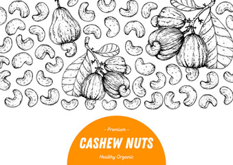 Cashew nuts hand drawn sketch. Nuts vector illustration. Organic healthy food. Great for packaging design. Engraved style. Black and white color.