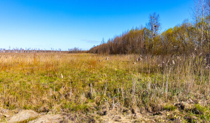 Early spring view of Biebrza river plain wetlands and nature reserve along Dluga Luka, Long Gap, sightseeing path in Podlaskie voivodship in Poland