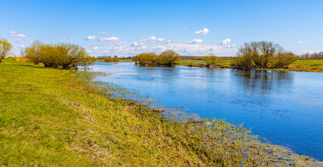 Early spring view of Biebrza river valley wetlands and nature reserve in Wierciszewo village in Podlaskie voivodship in Poland - obrazy, fototapety, plakaty