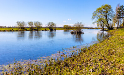 Early spring view of Biebrza river valley wetlands and nature reserve in Wierciszewo village in Podlaskie voivodship in Poland