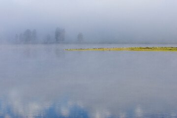 grasses make strong design lines in a pool of the Hayden Rive in Yellowstone National Park