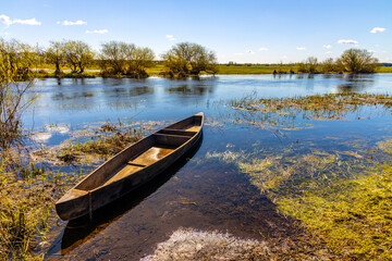 Early spring view of Biebrza river valley wetlands and nature reserve landscape with vintage canoe in Wierciszewo village in Podlaskie voivodship in Poland - obrazy, fototapety, plakaty