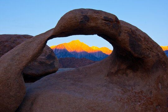 Mobius Arch, Alabama Hills, Lone Pine, CA; Sierra Nevada peaks are bathed in golden light as seen through Mobius Arch at sunrise