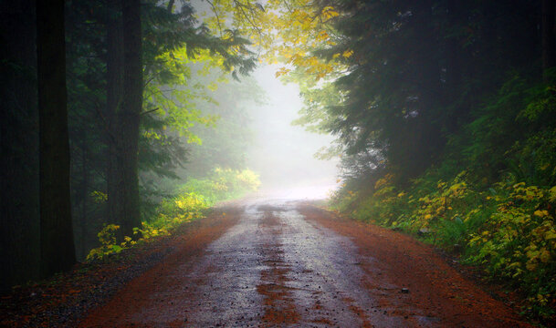 My Escape, Elk Mountain, Chilliwack, Canada