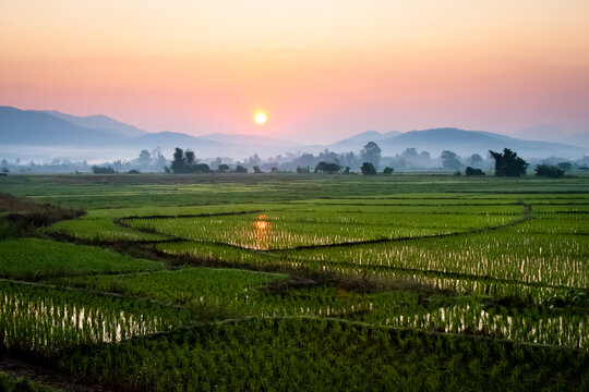 The sun sets behind foggy hills and expansive rice paddy fields near Chiang Mai, Thailand